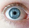 Голубые глаза имеют низкий уровень пигмента в радужной оболочке