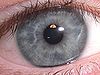На первый взгляд серые глаза можно назвать «голубыми», но они, как правило, имеют золотые и коричневые пятна