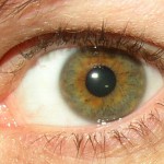 Я всегда неправильно называл этот цвет глаз карие